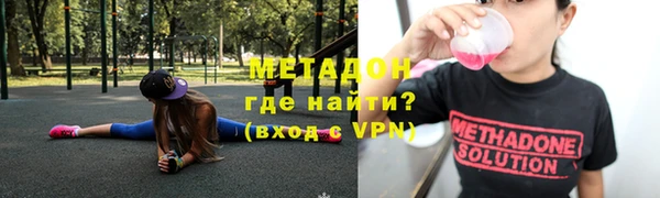 индика Аркадак