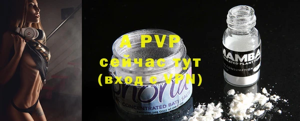 индика Аркадак