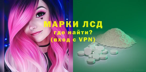 индика Аркадак