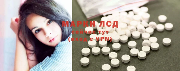 сатива Армянск