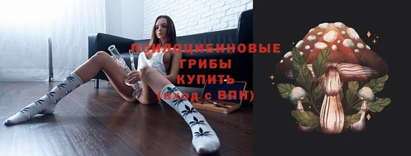 сатива Армянск