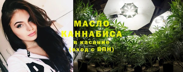 индика Аркадак