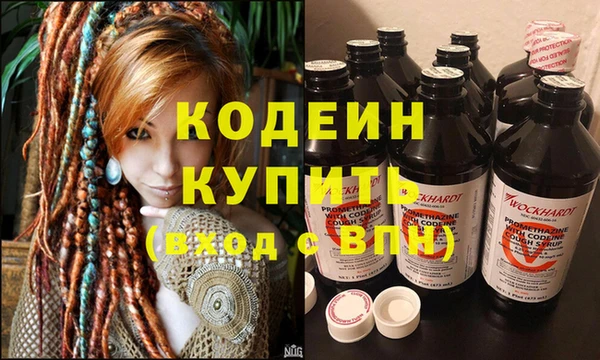 индика Аркадак