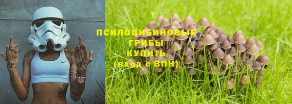 индика Аркадак