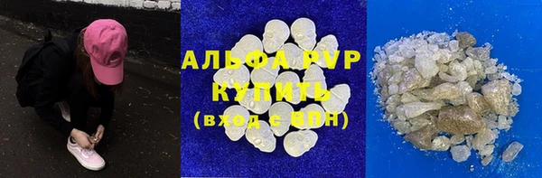 индика Аркадак